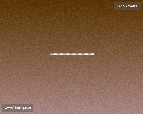 嘉兴承办赛事—嘉兴热情拥抱赛事承办机遇全面展现城市活力魅力迎接世界目光聚焦